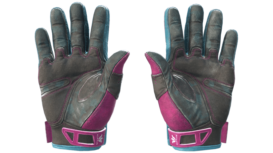 ★ Sport Gloves | Vice (Field-Tested)