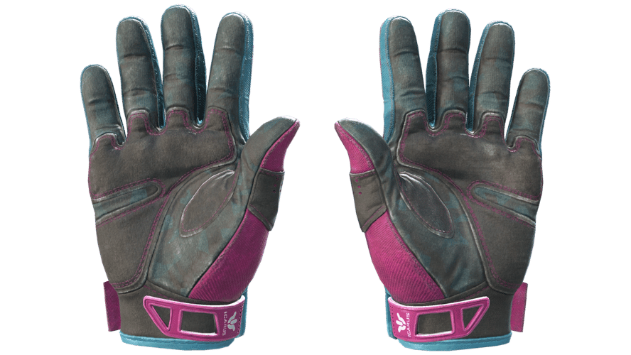 ★ Sport Gloves | Vice (Field-Tested)