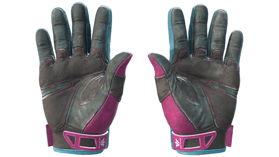 ★ Sport Gloves | Vice (Field-Tested)