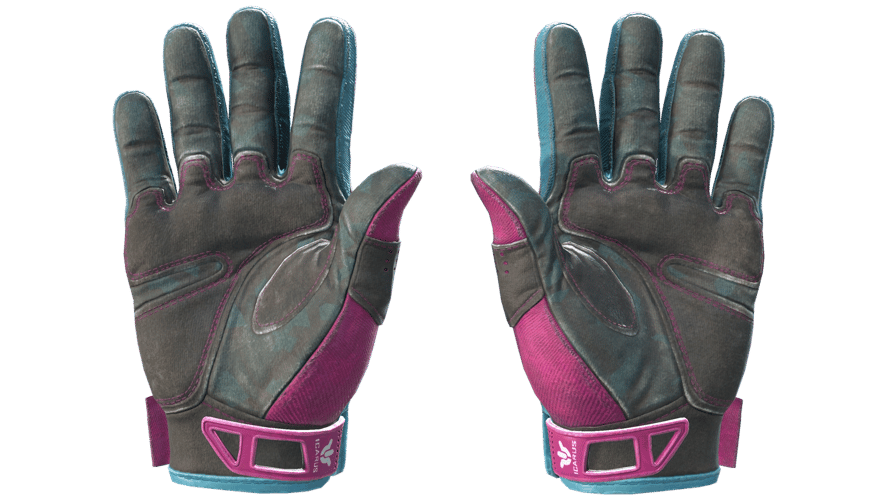 ★ Sport Gloves | Vice (Field-Tested)