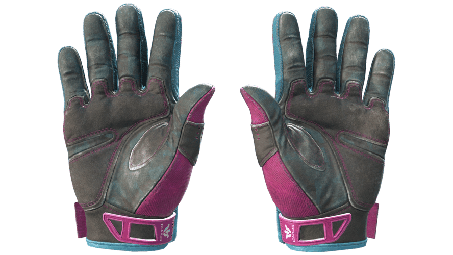 ★ Sport Gloves | Vice (Well-Worn)