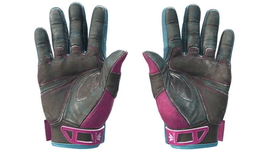★ Sport Gloves | Vice (Well-Worn)