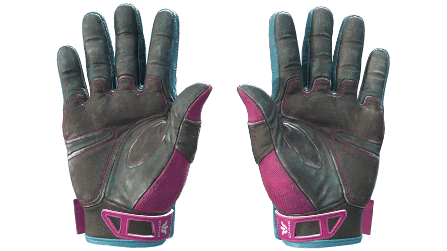 ★ Sport Gloves | Vice (Well-Worn)