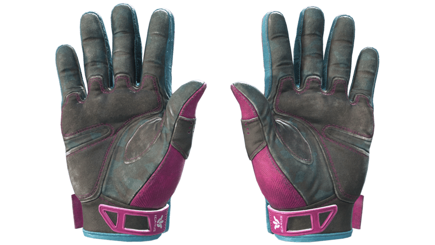 ★ Sport Gloves | Vice (Well-Worn)