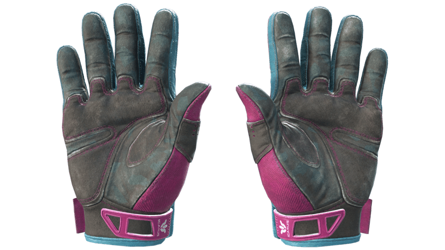 ★ Sport Gloves | Vice (Well-Worn)