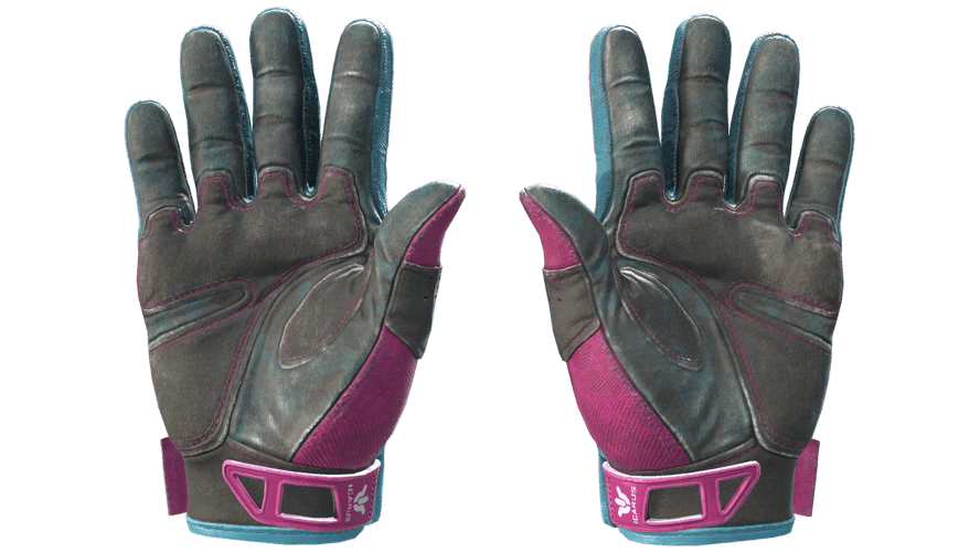 ★ Sport Gloves | Vice (Well-Worn)