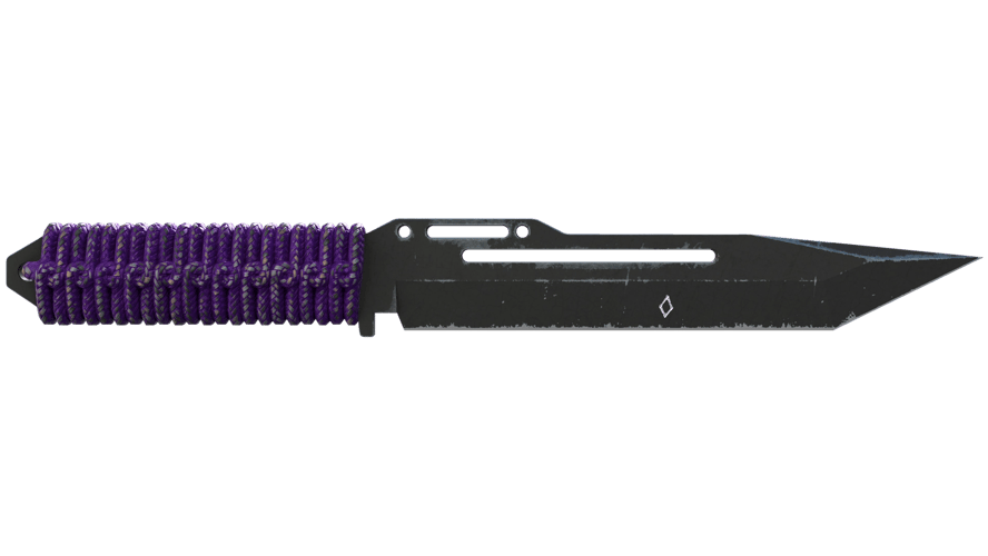 ★ StatTrak™ Paracord Knife | Ultraviolet (Battle-Scarred)