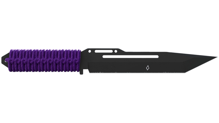 ★ StatTrak™ Paracord Knife | Ultraviolet (Minimal Wear)