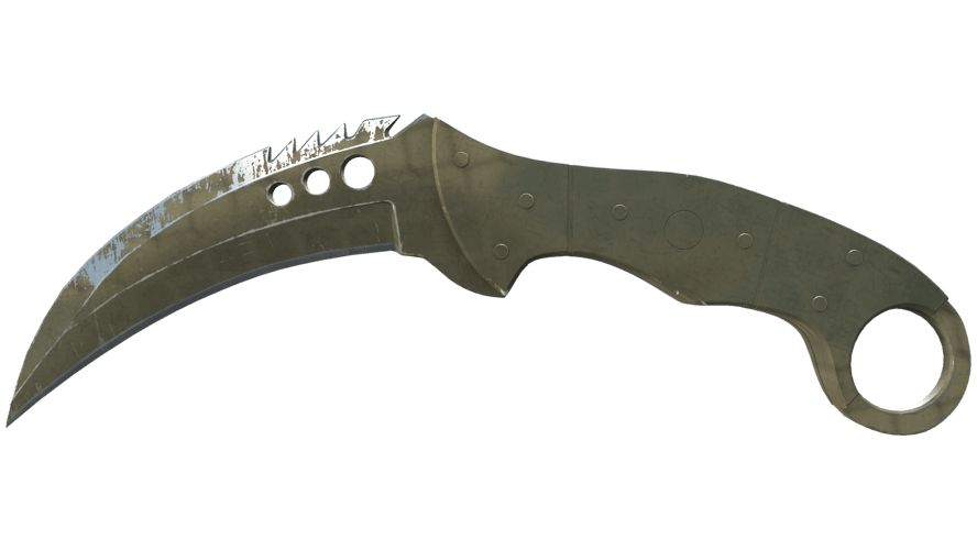 ★ StatTrak™ Talon Knife | Safari Mesh (Field-Tested)