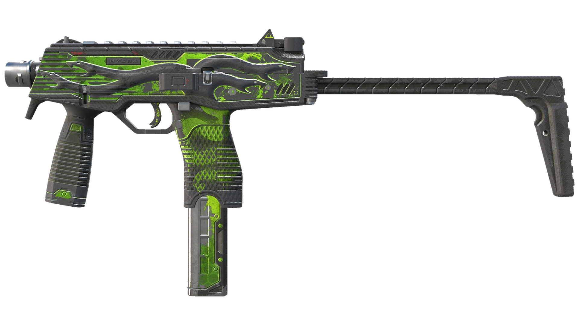 Hydra image