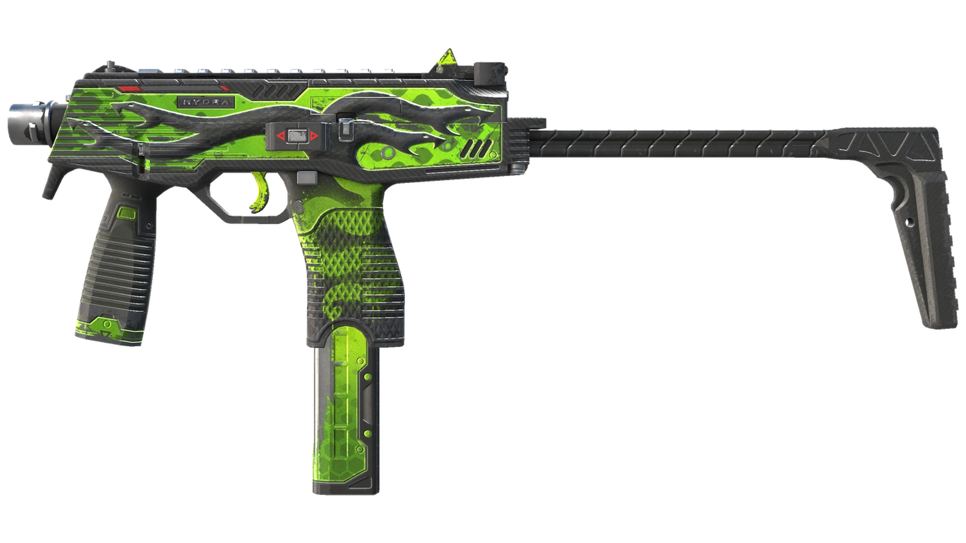 Hydra image