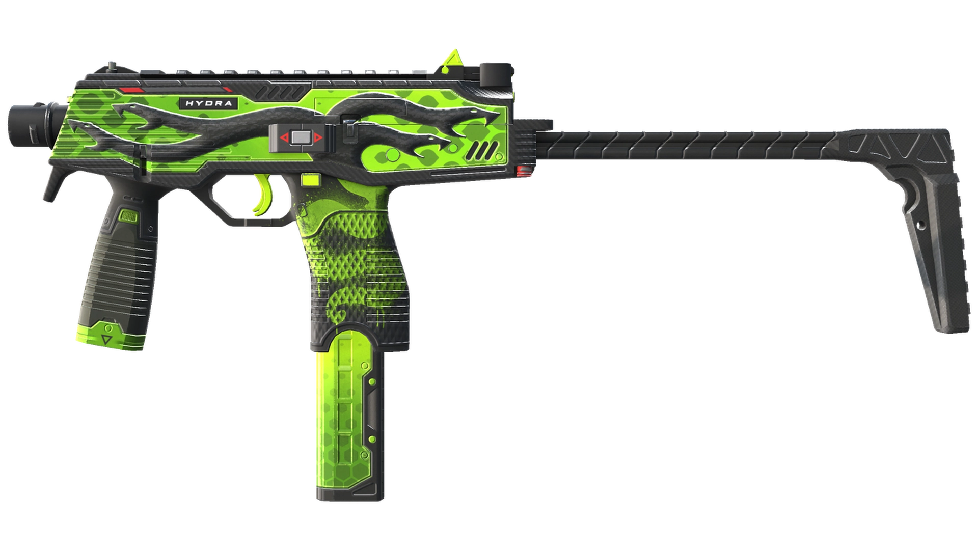 Hydra image
