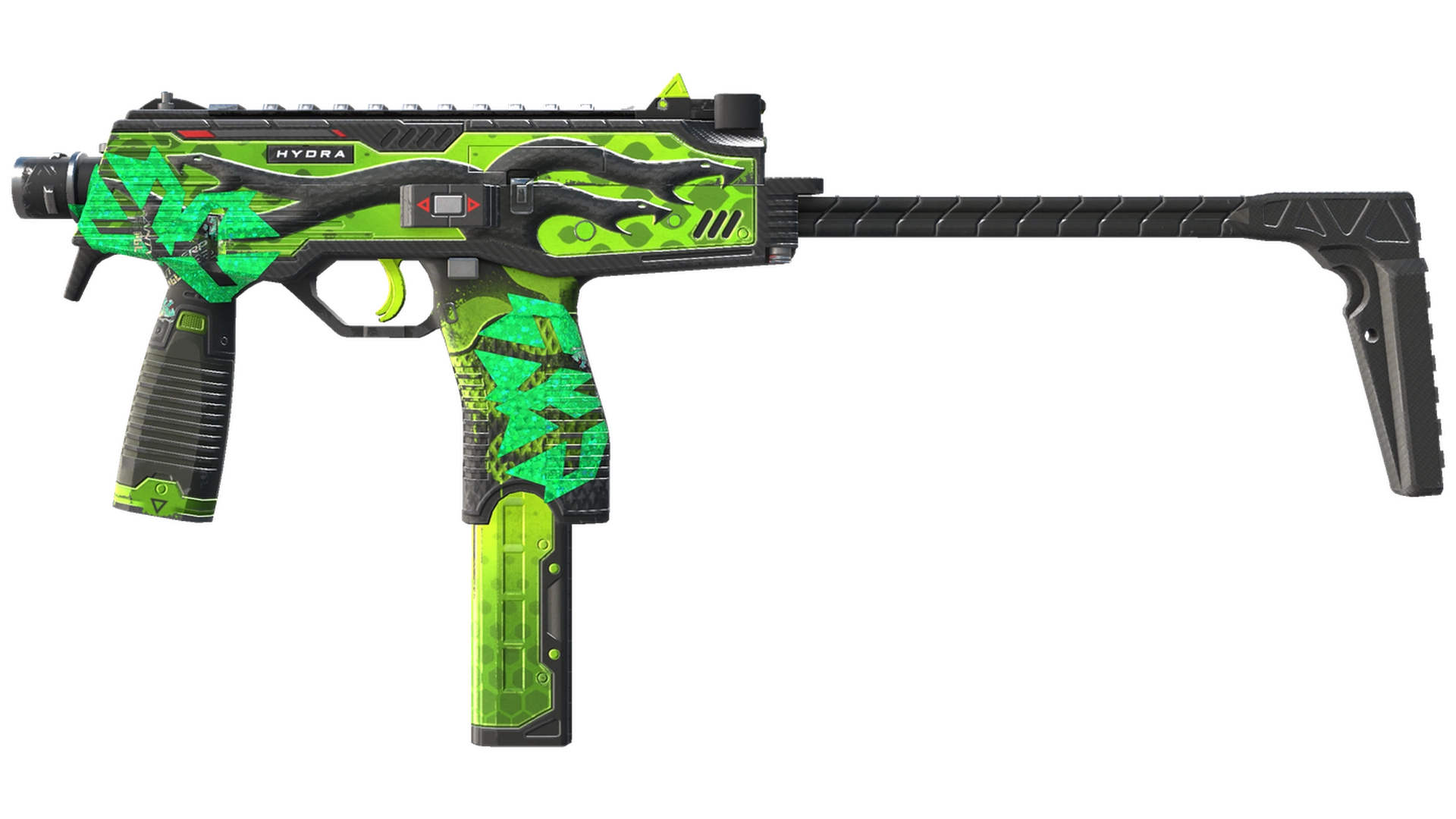Hydra image