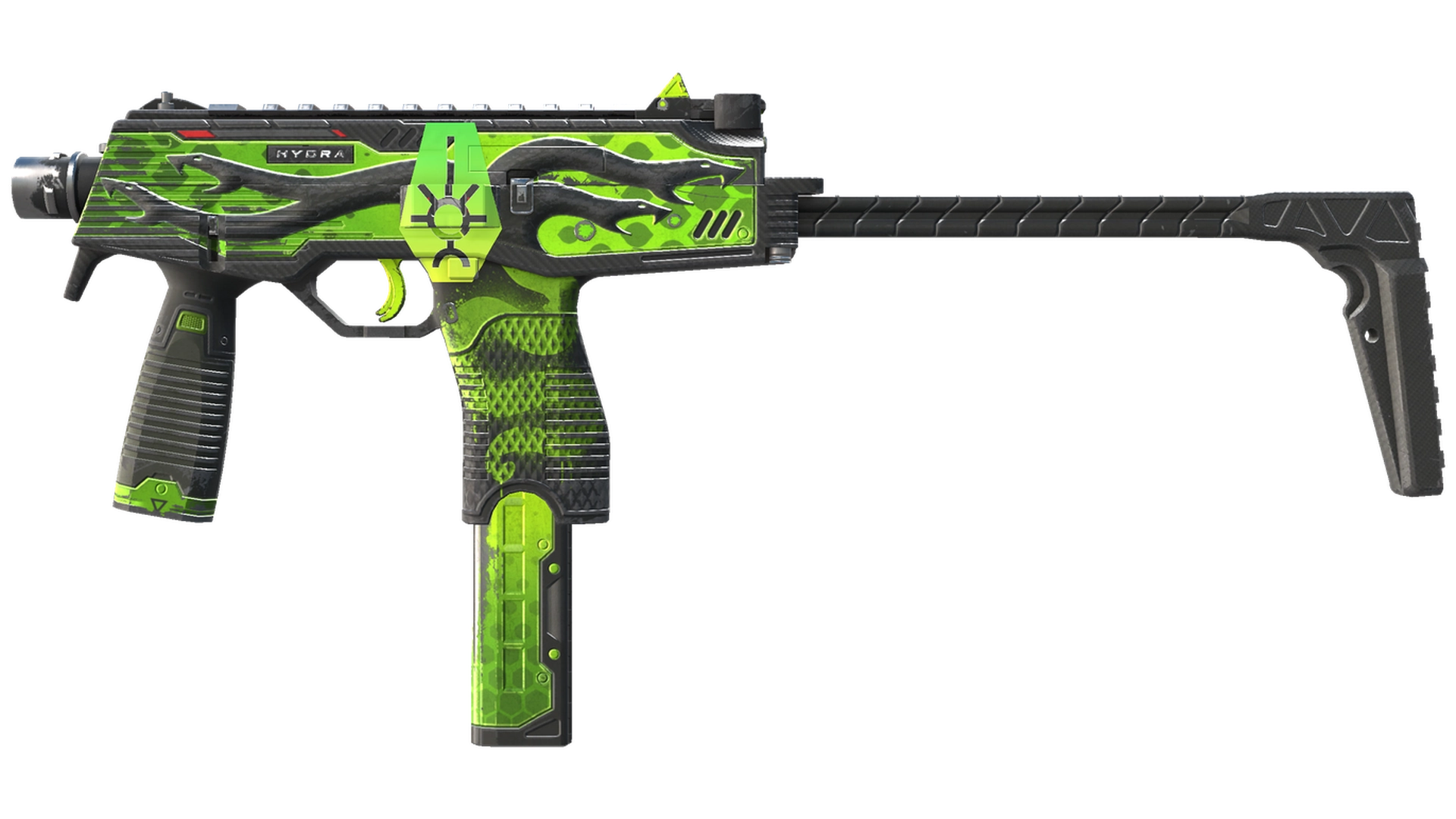 Hydra image