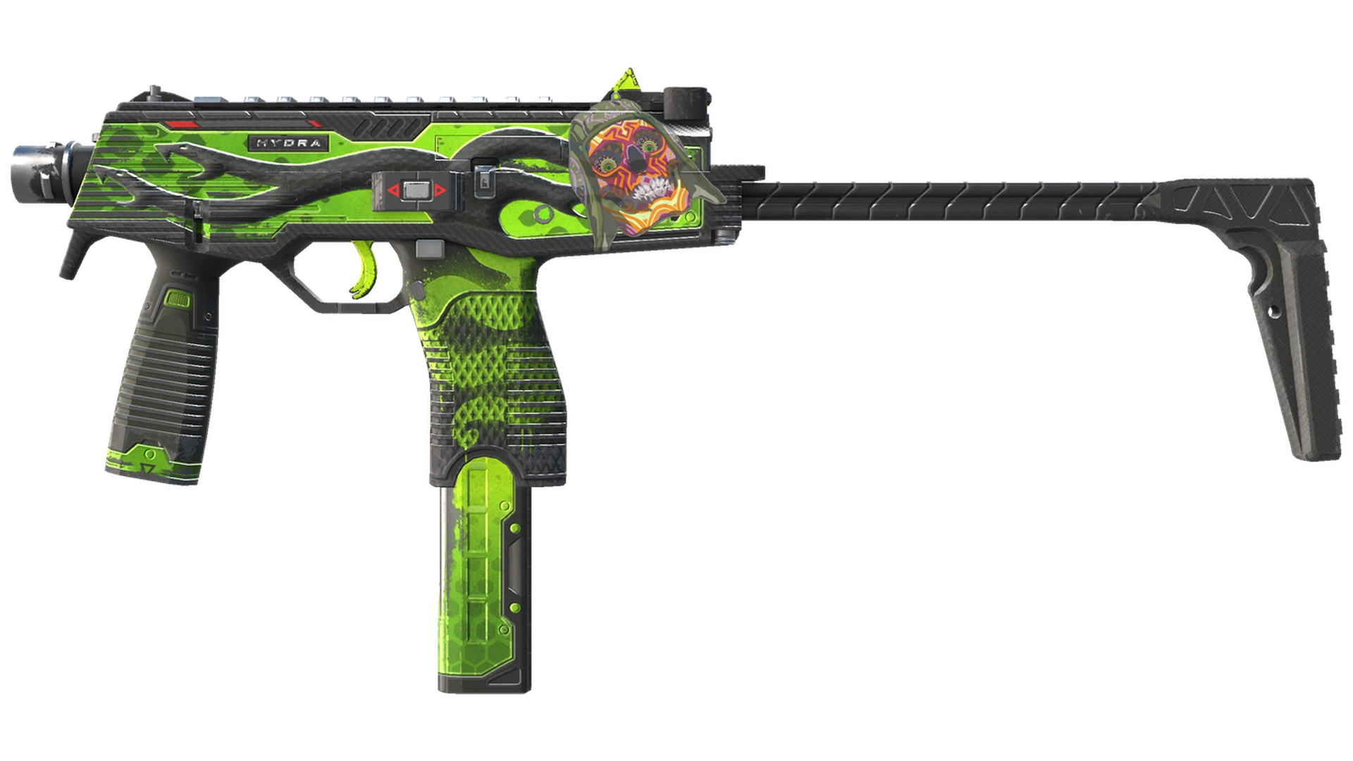 Hydra image