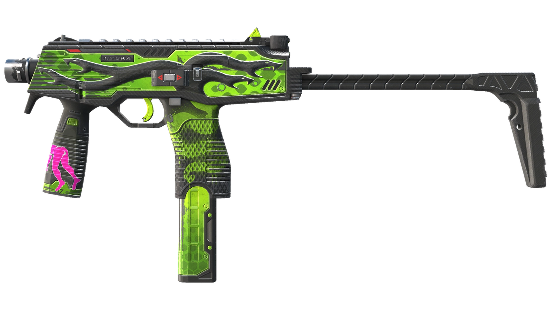 Hydra image
