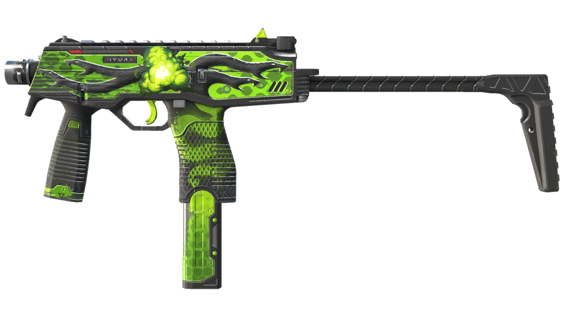 Hydra image