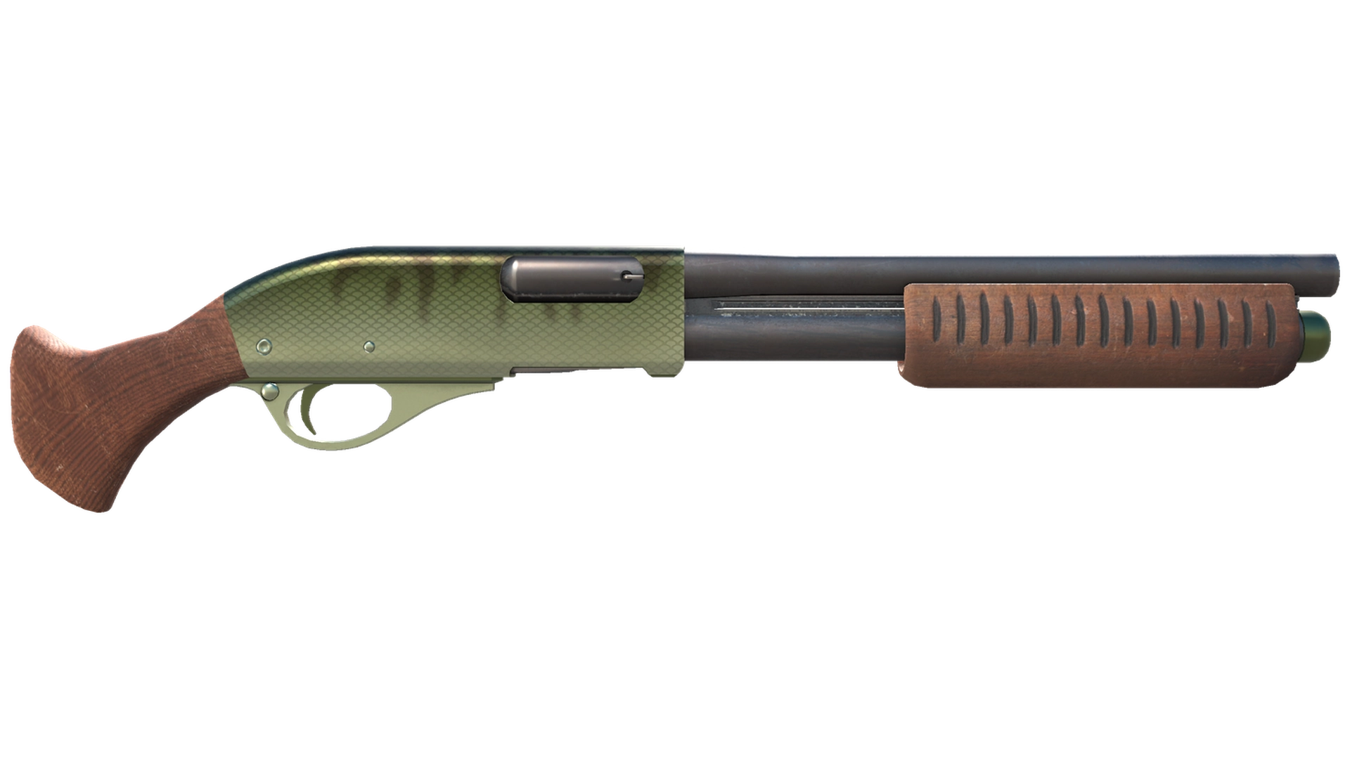 Zander image