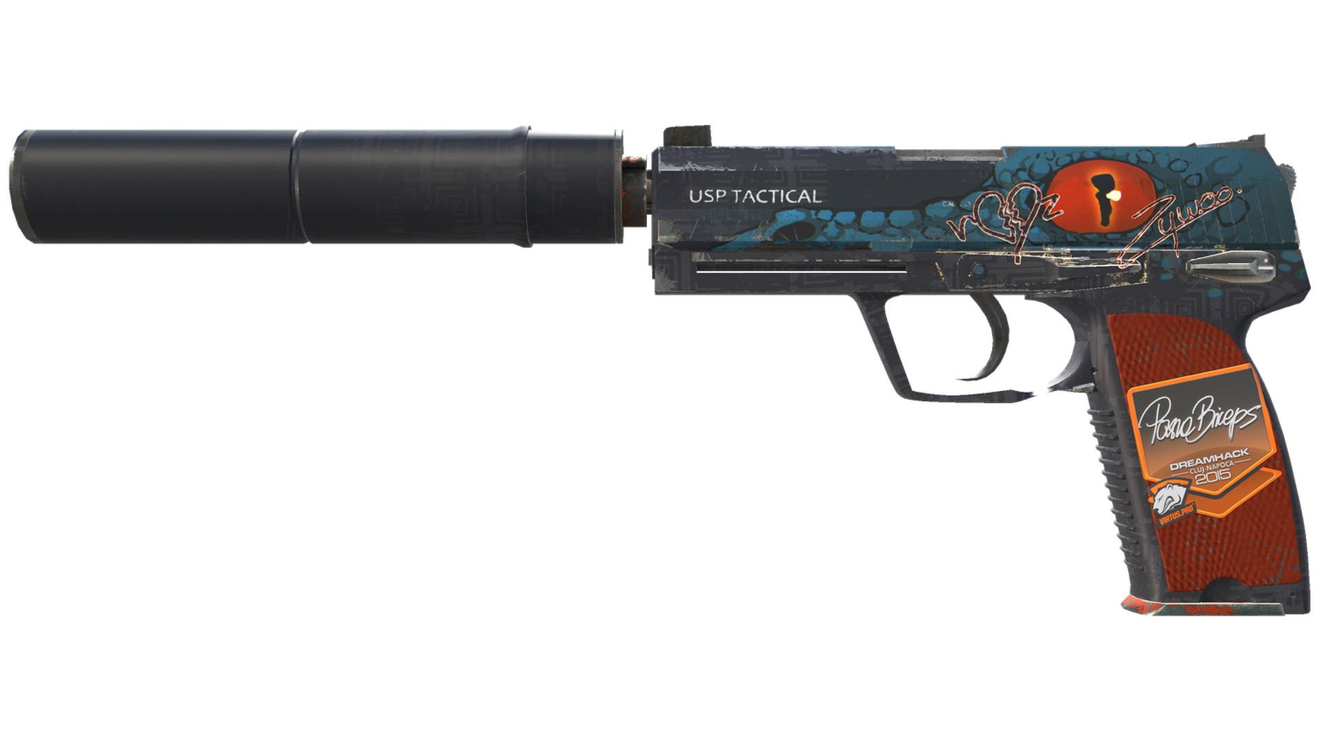 Caiman image