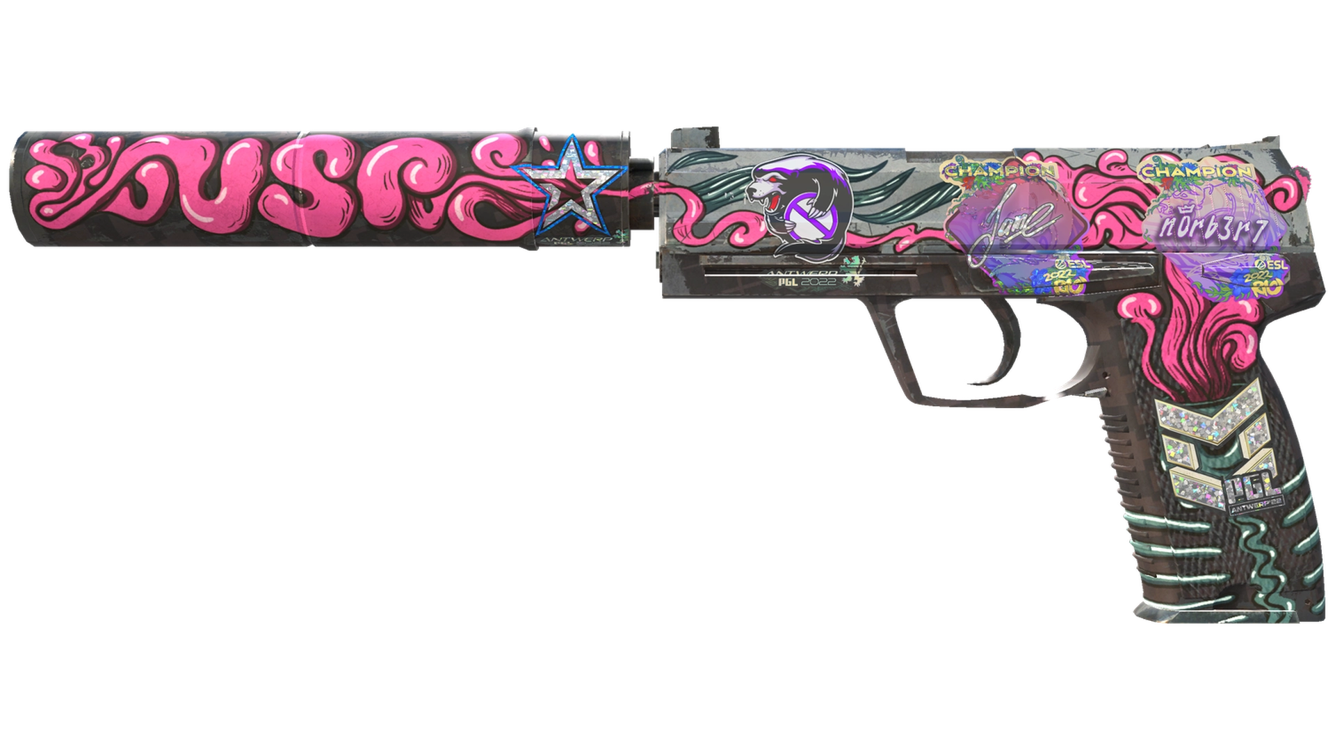 Cortex image