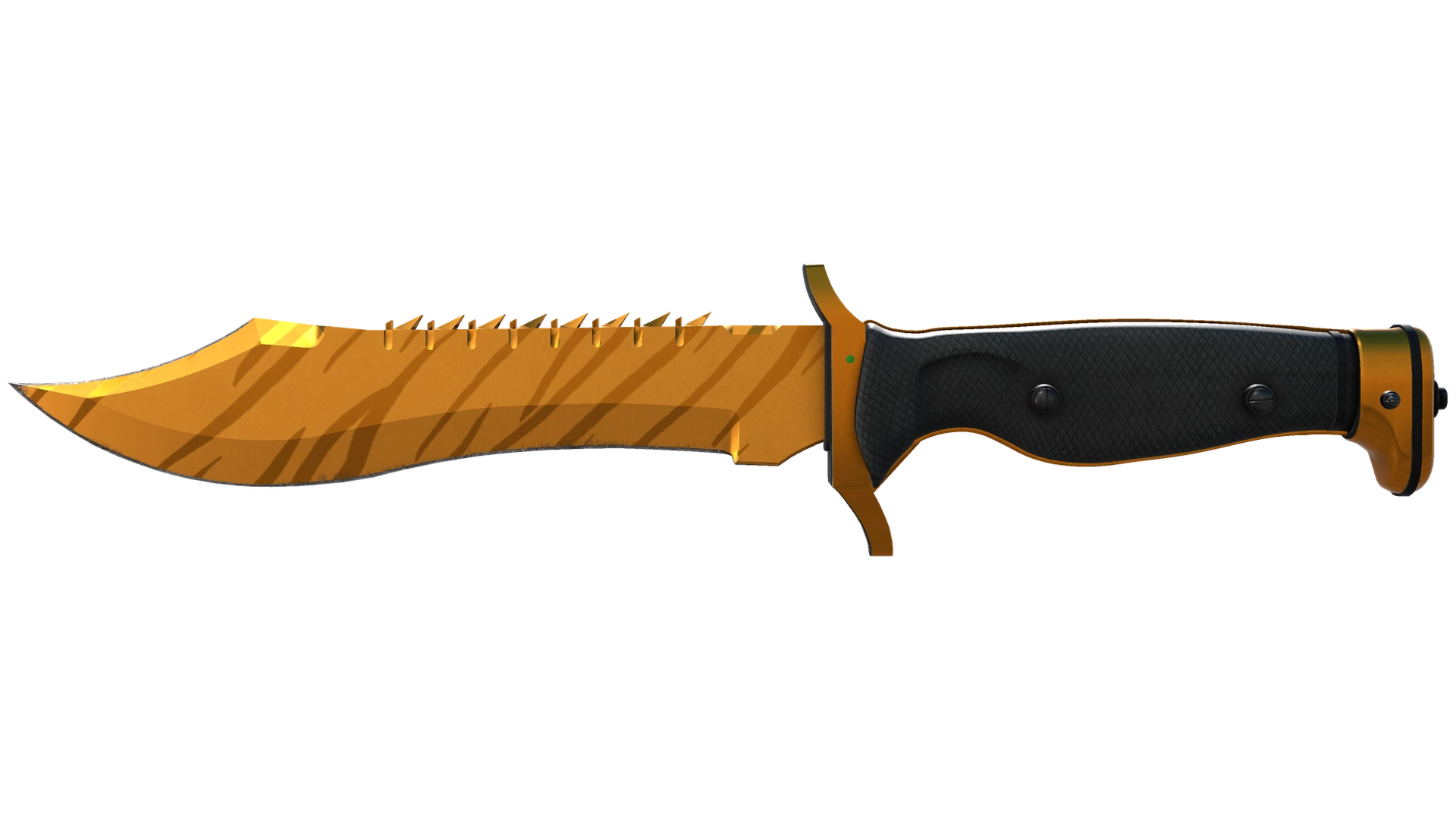 Tiger Tooth image