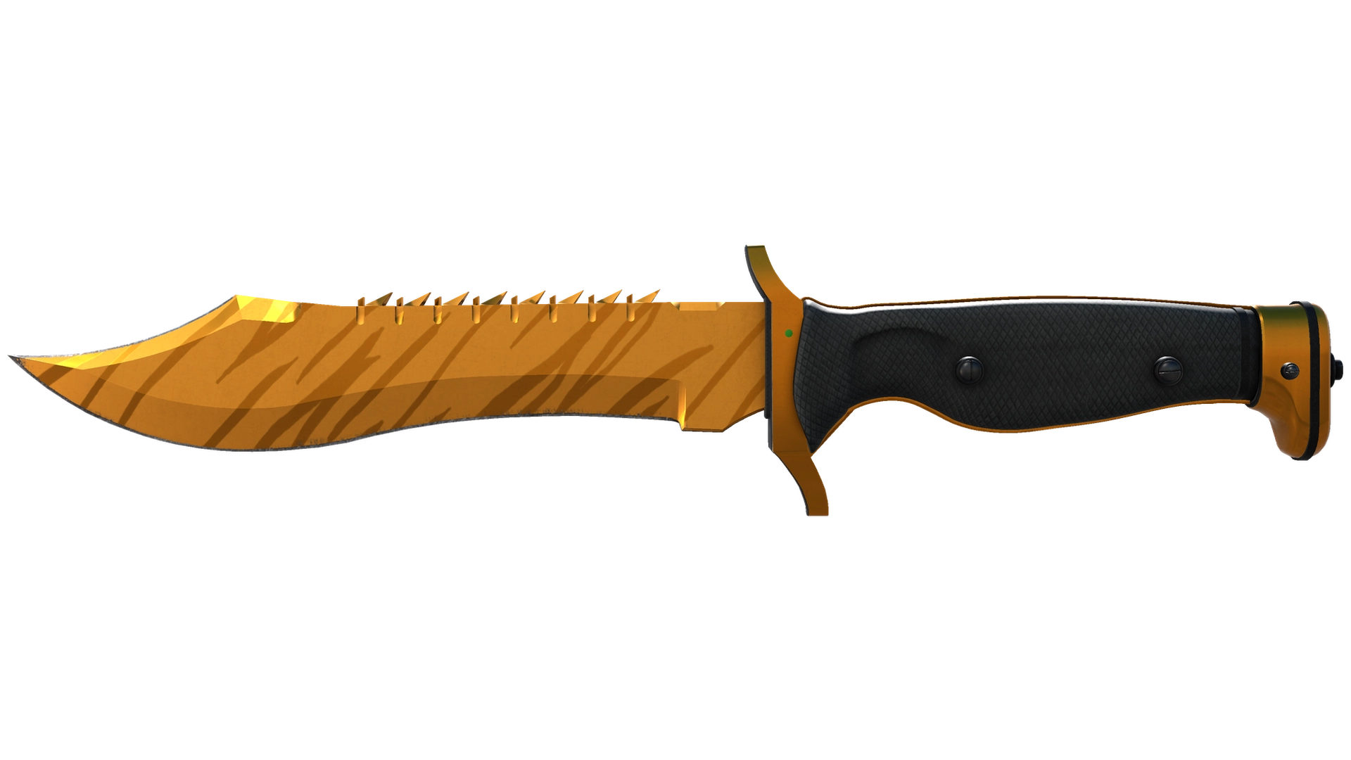 Tiger Tooth image