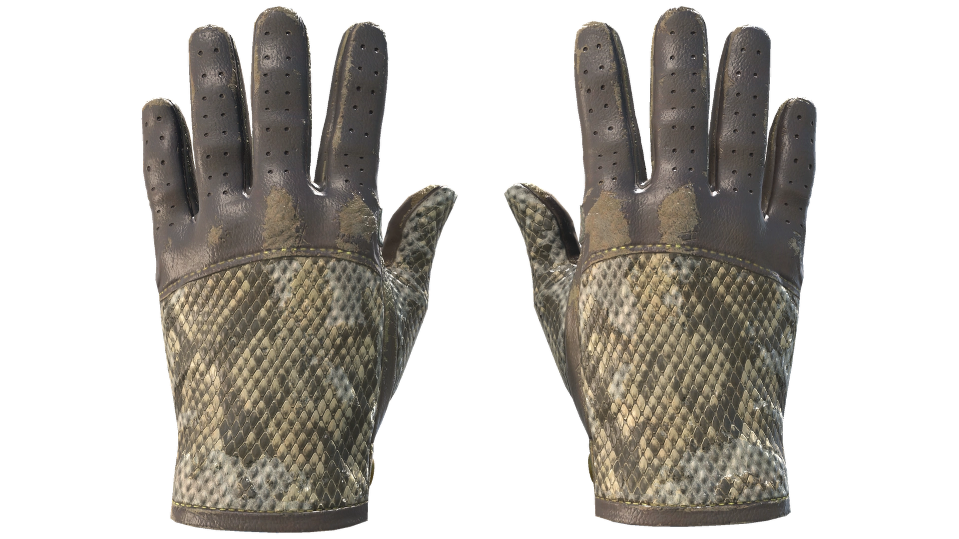 Diamondback image