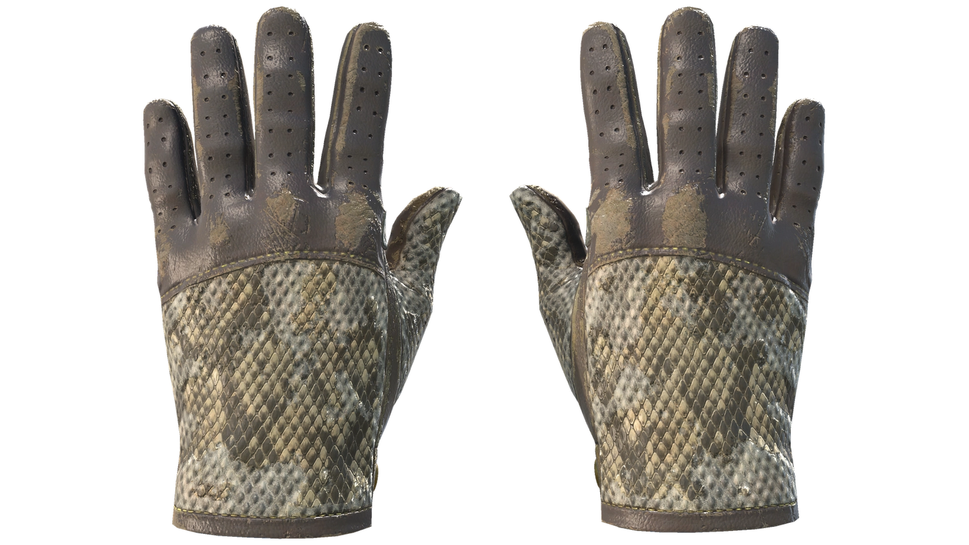 Diamondback image