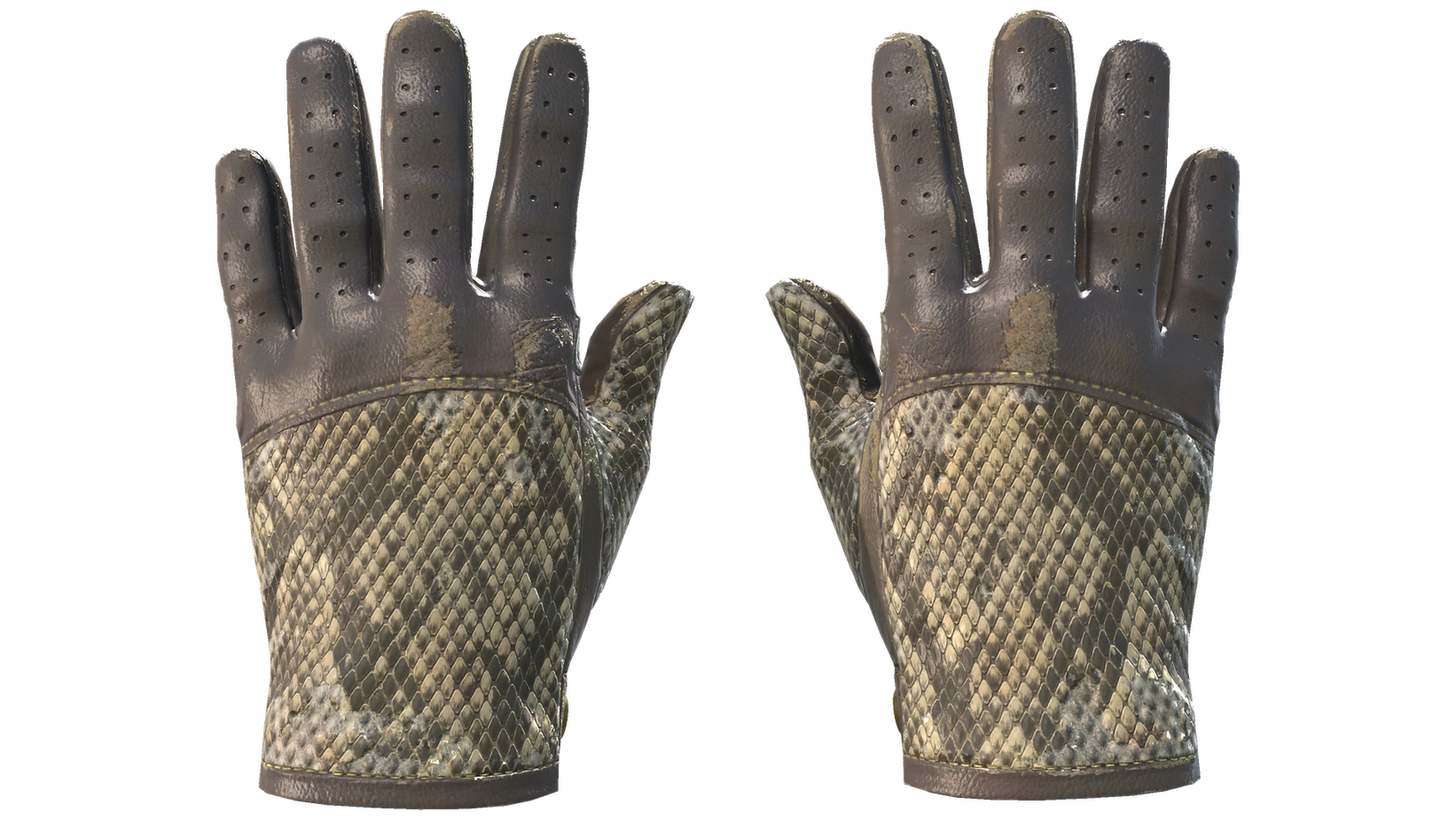 Diamondback image