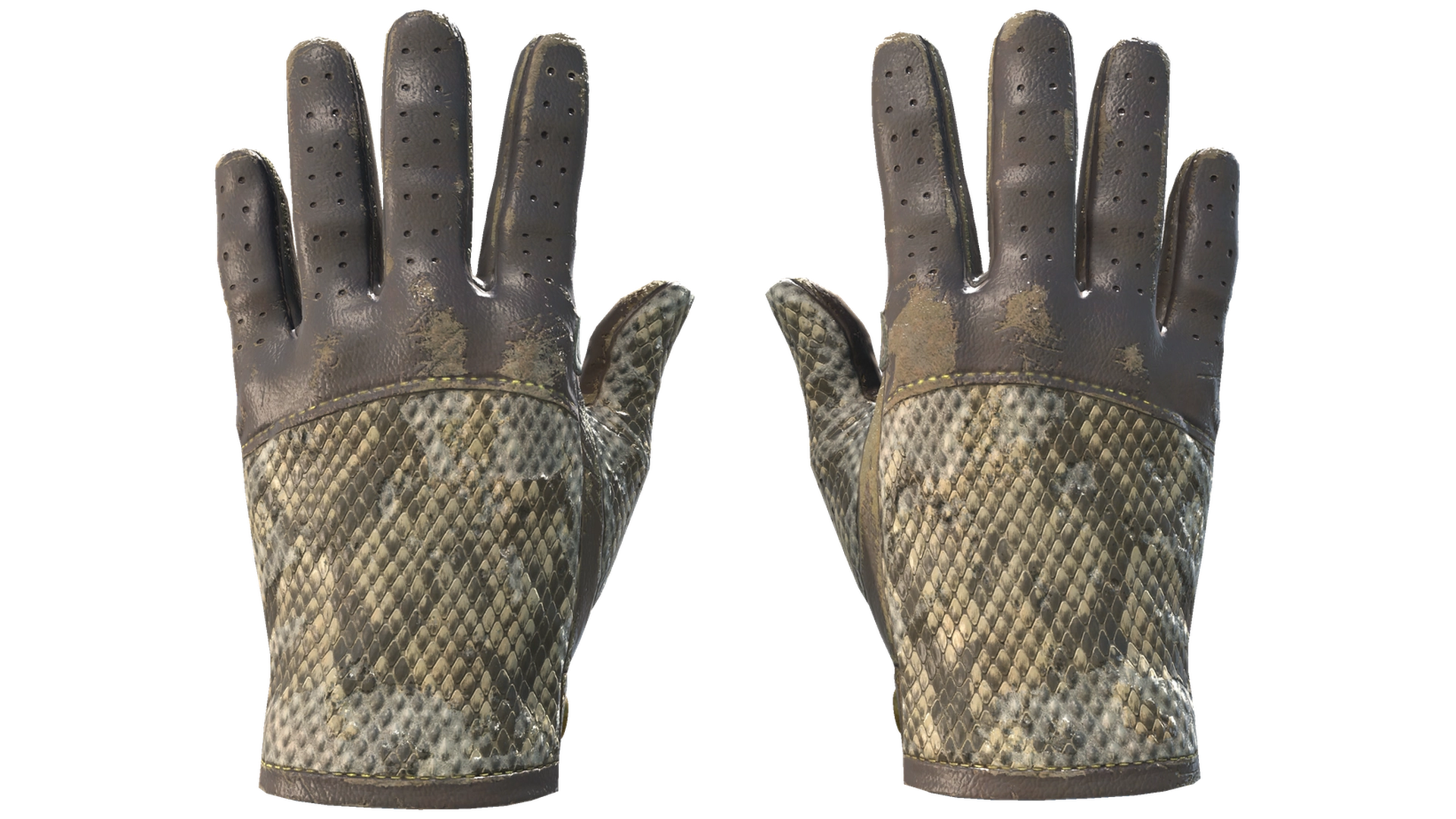 Diamondback image