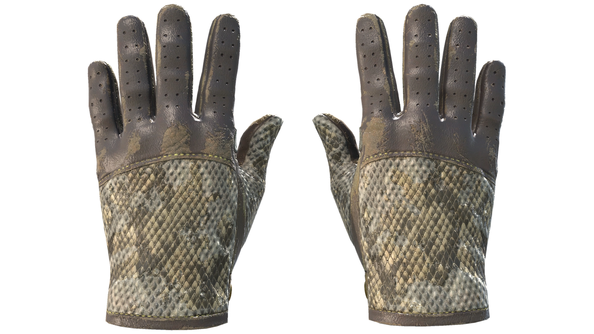 Diamondback image
