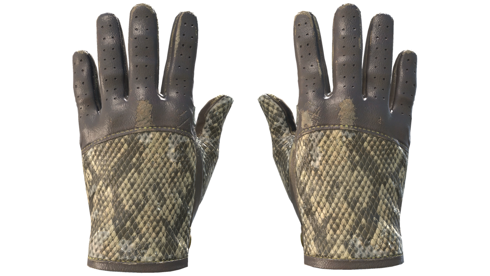 Diamondback image