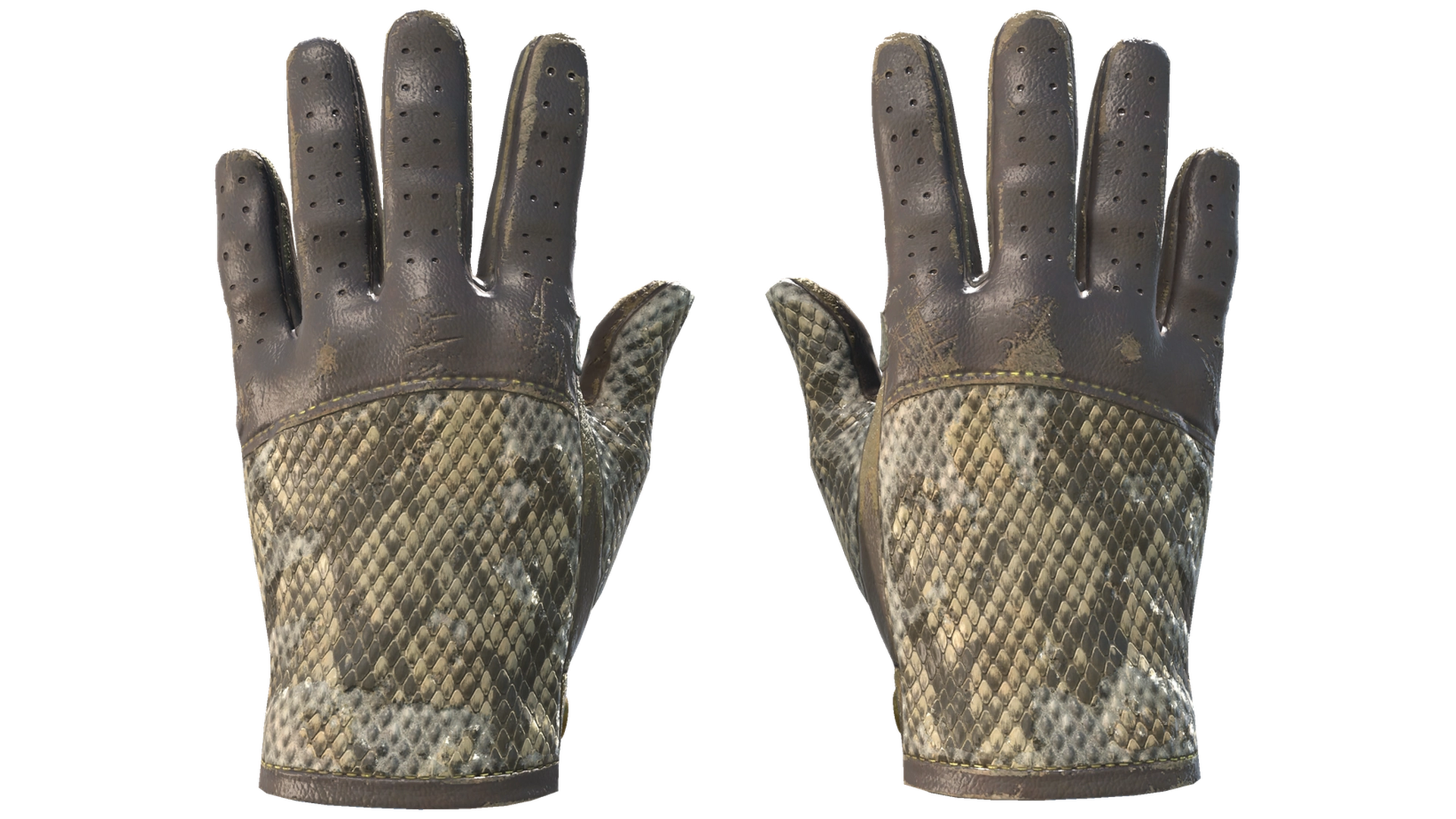 Diamondback image