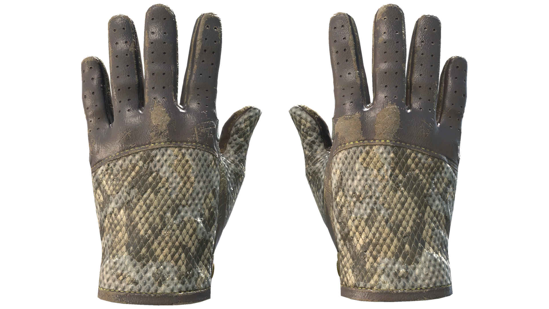 Diamondback image