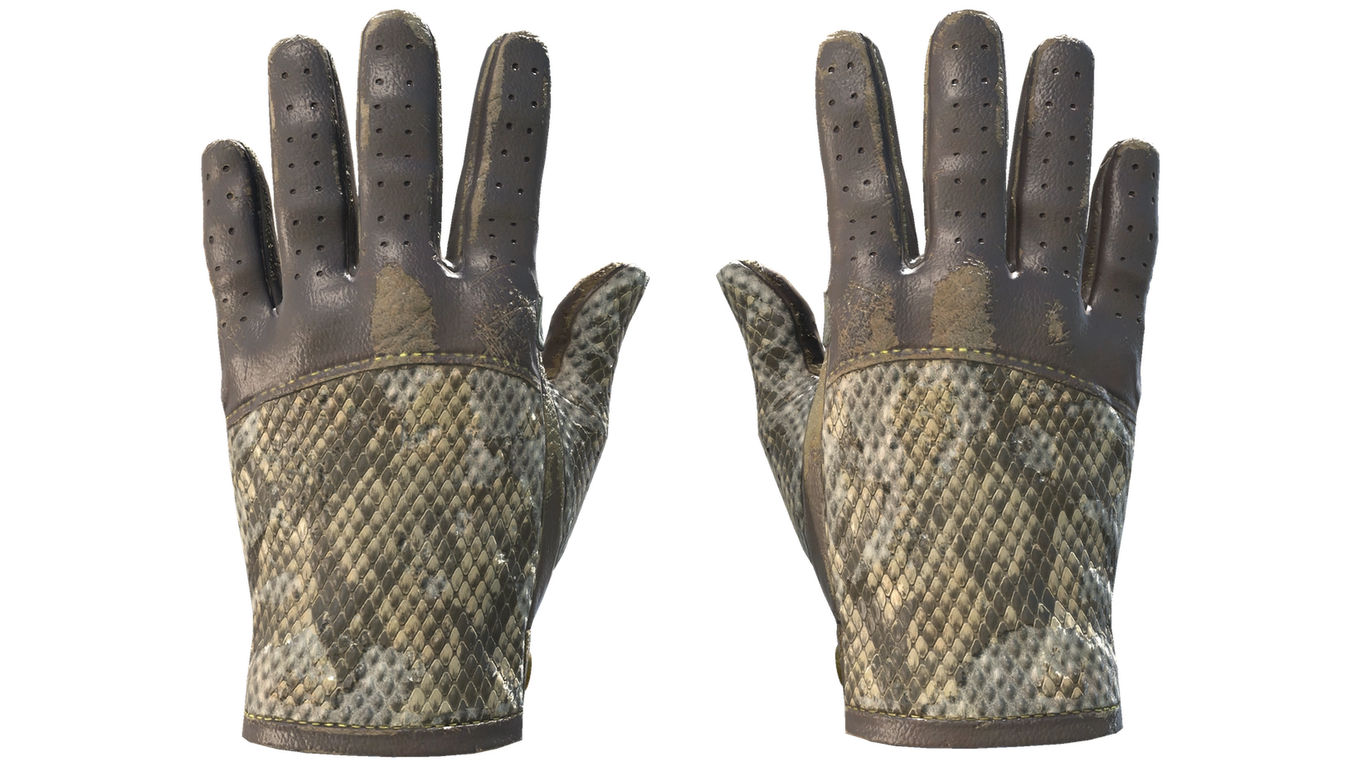 Diamondback image