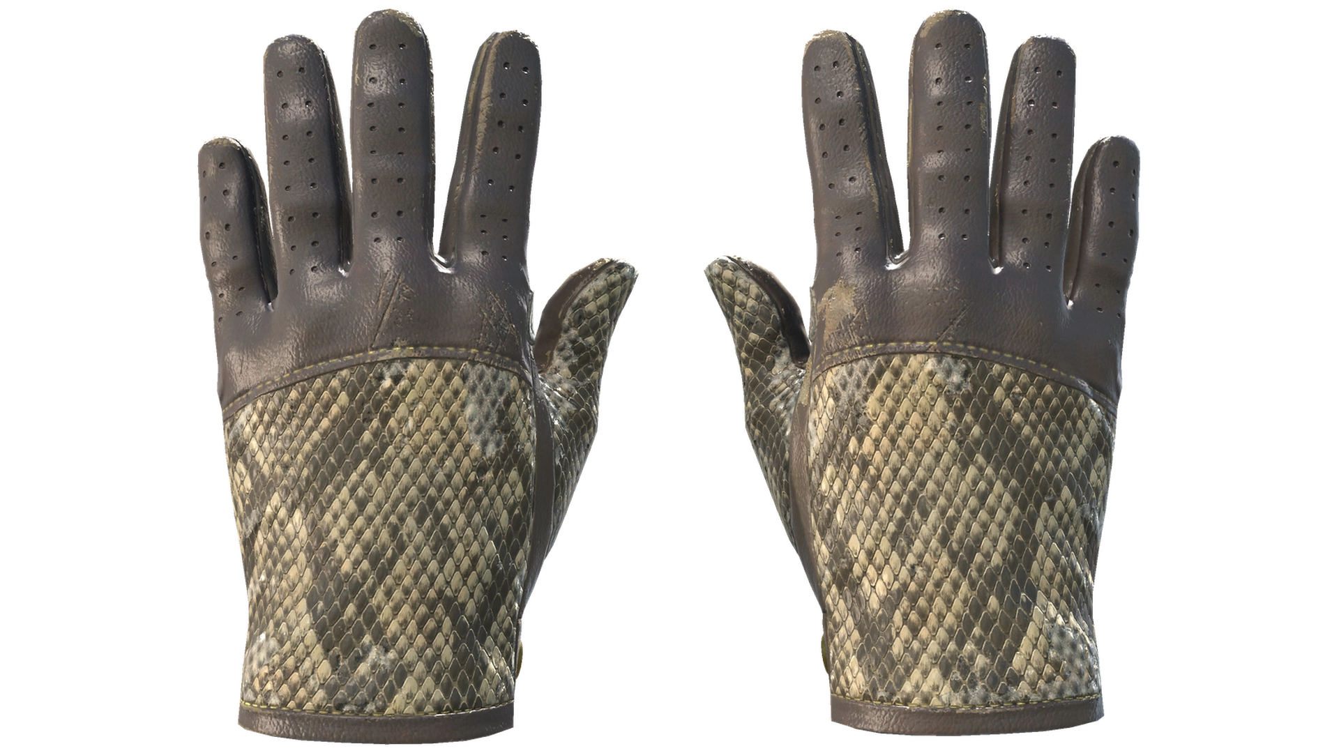 Diamondback image
