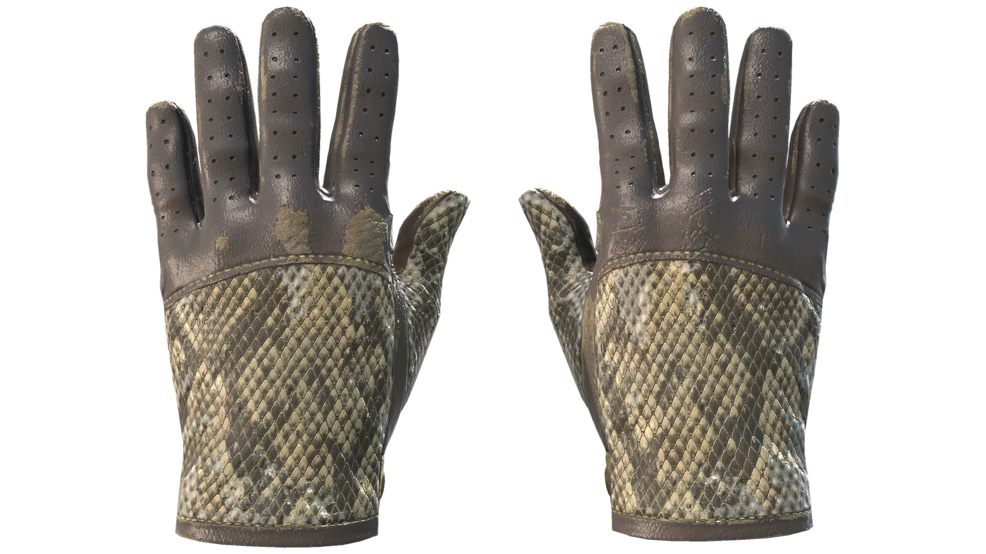 Diamondback image