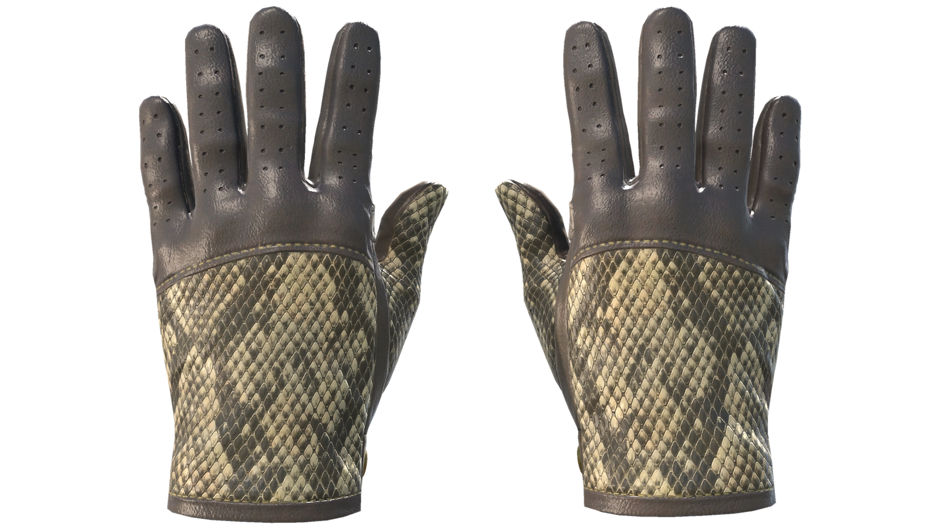 Diamondback image