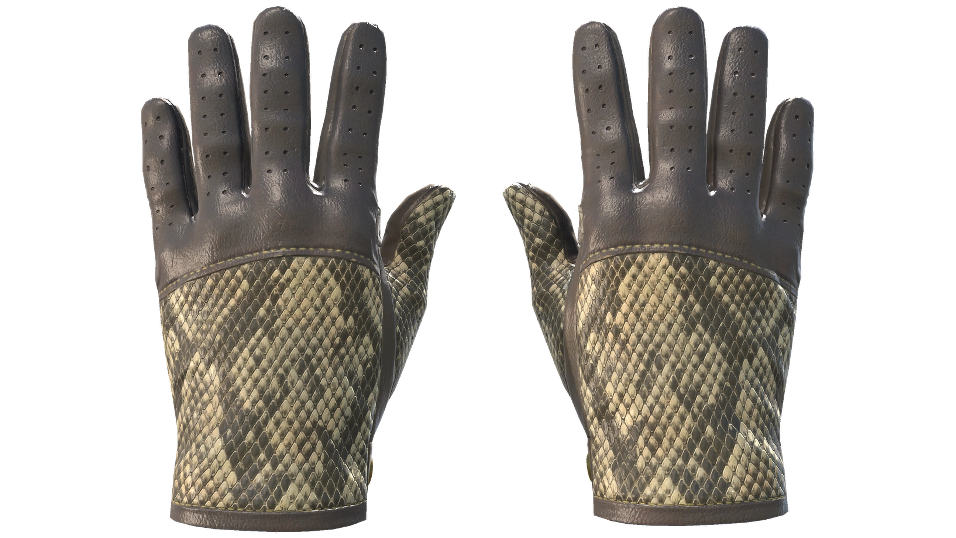 Diamondback image