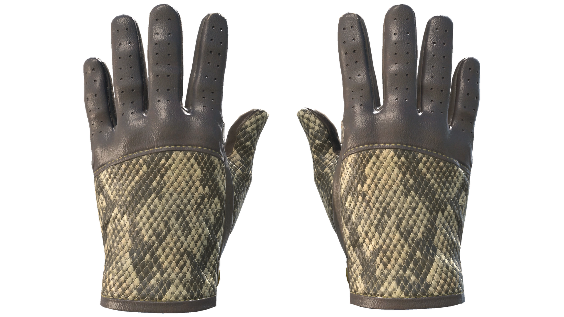 Diamondback image