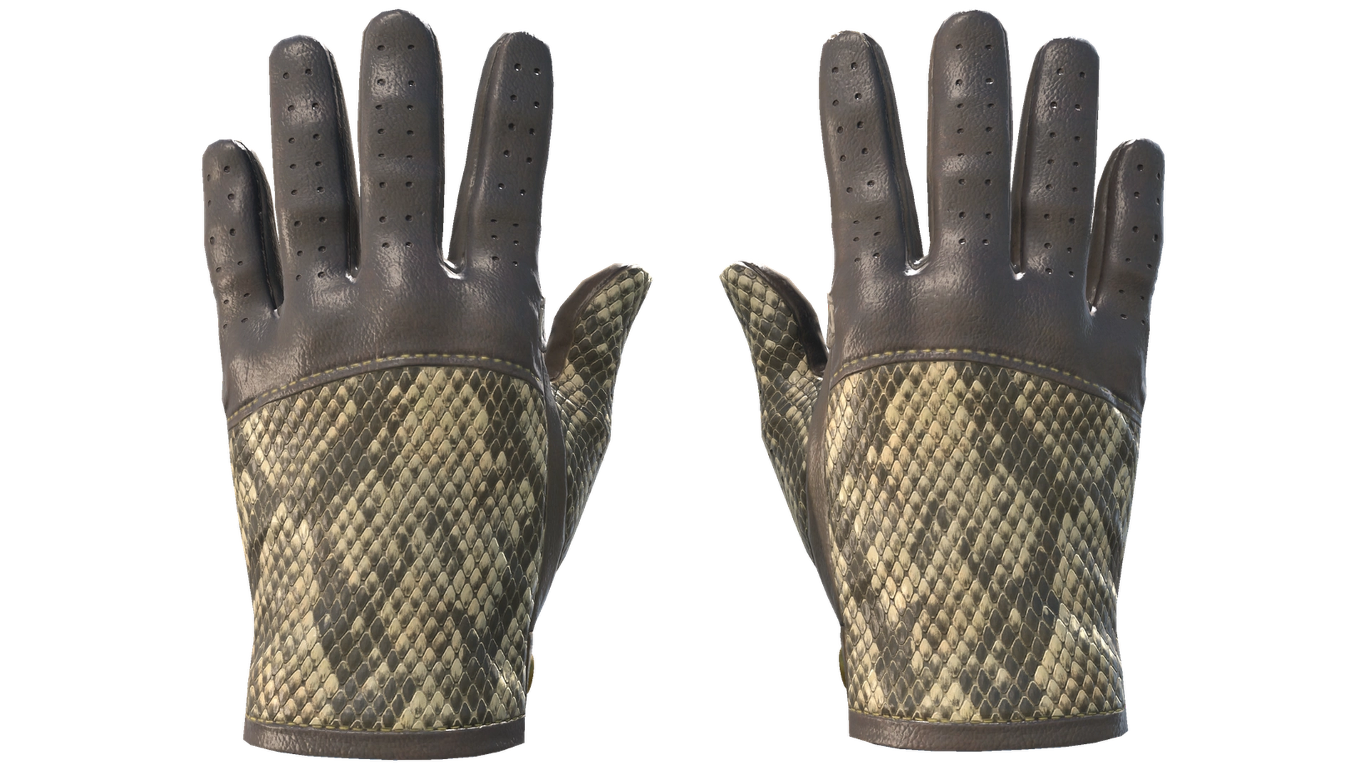 Diamondback image