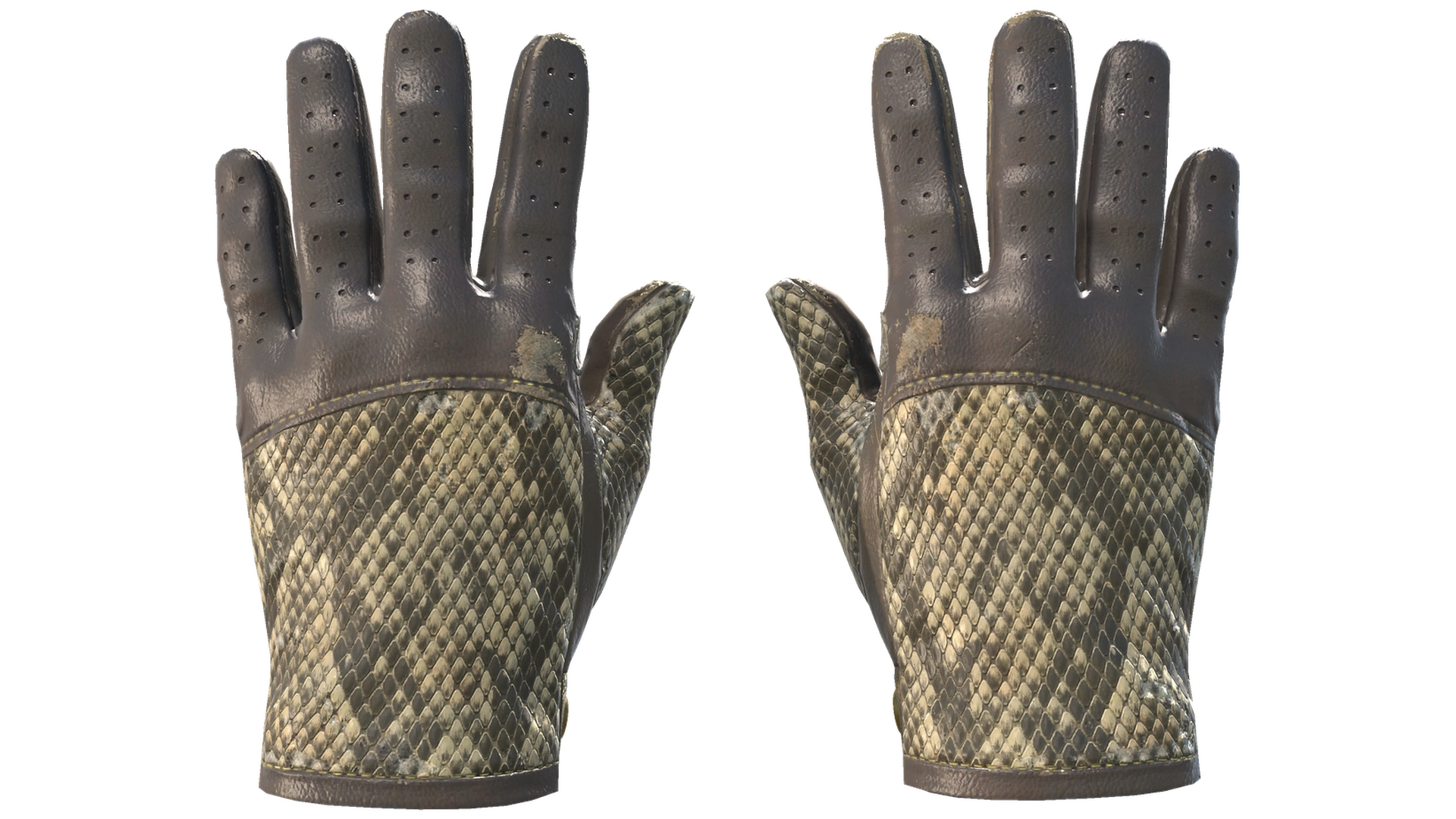 Diamondback image