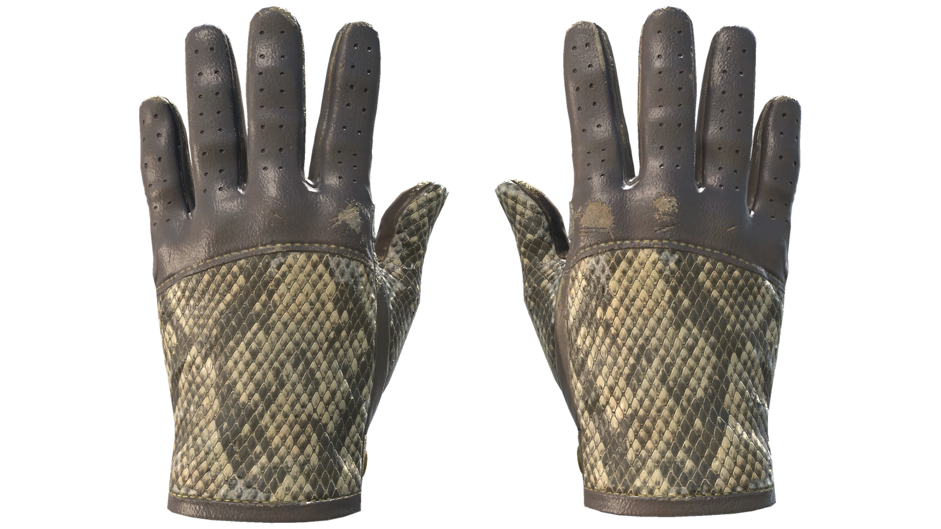 Diamondback image