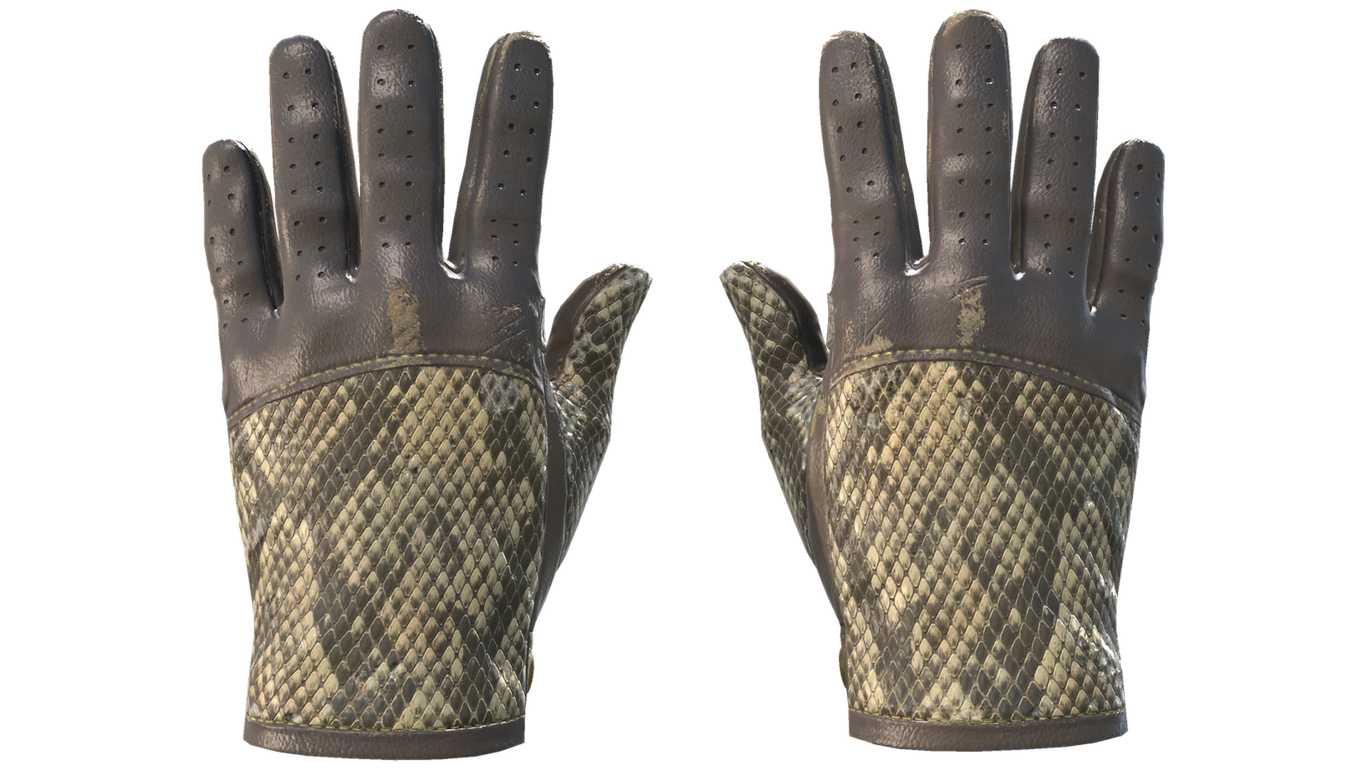 Diamondback image