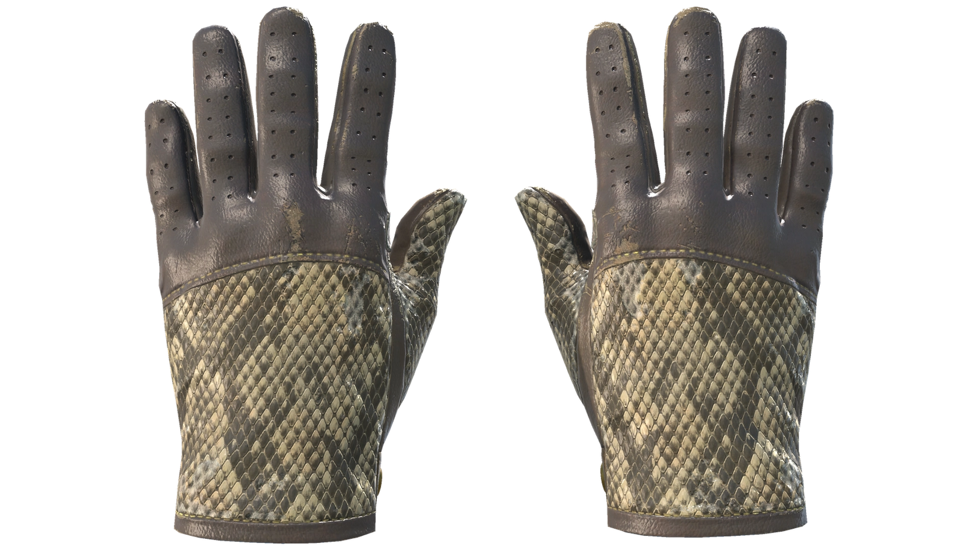 Diamondback image