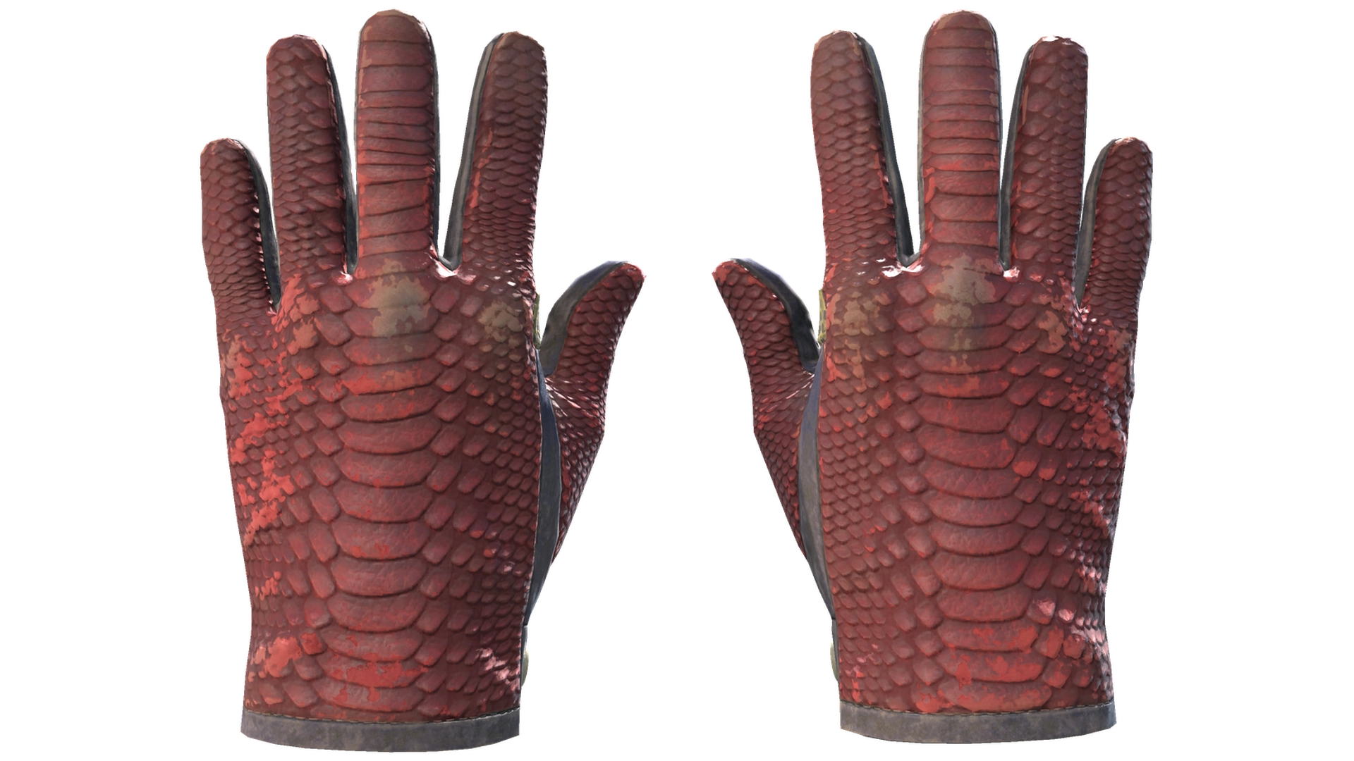 Dragon Fists image