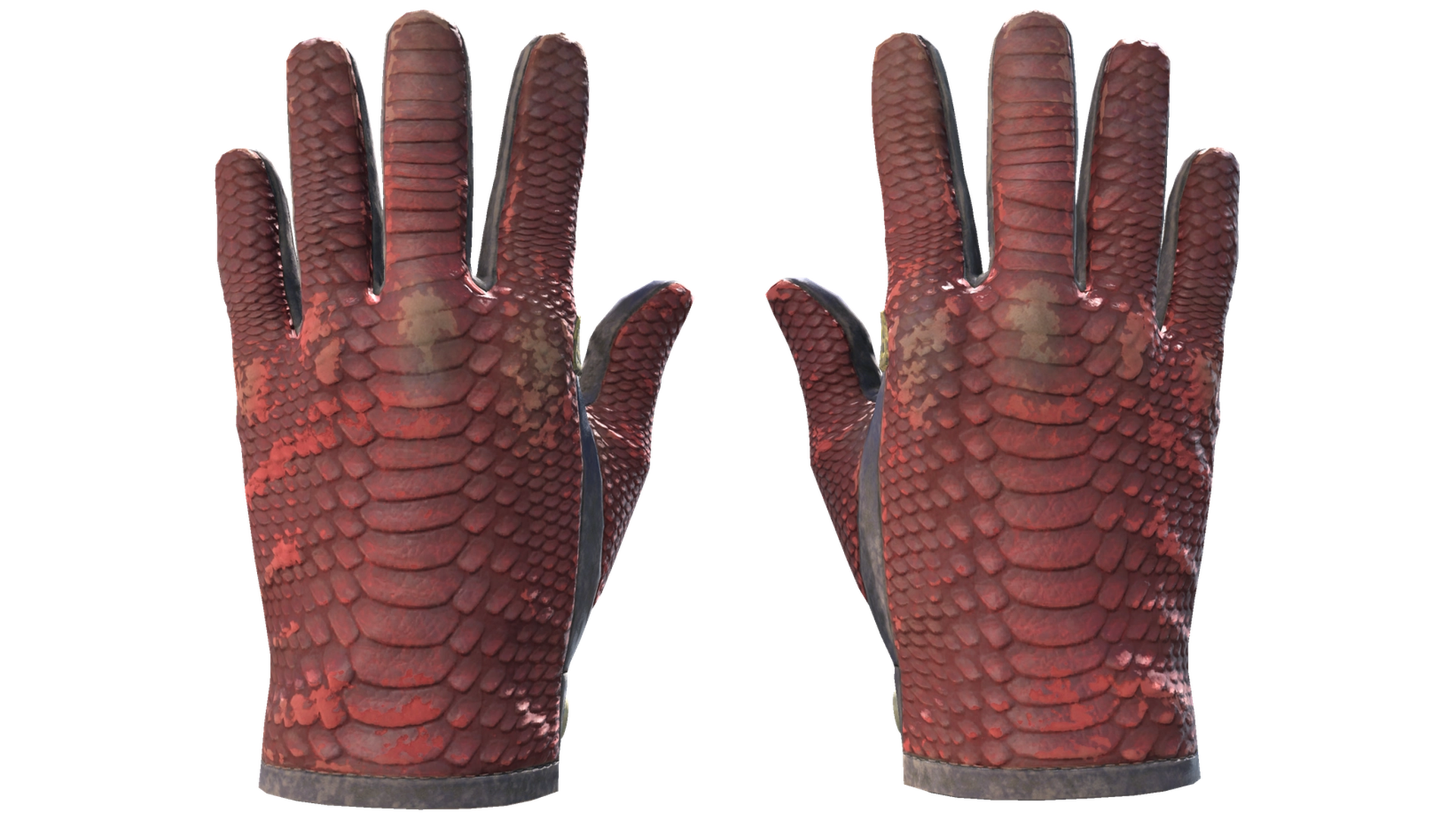 Dragon Fists image