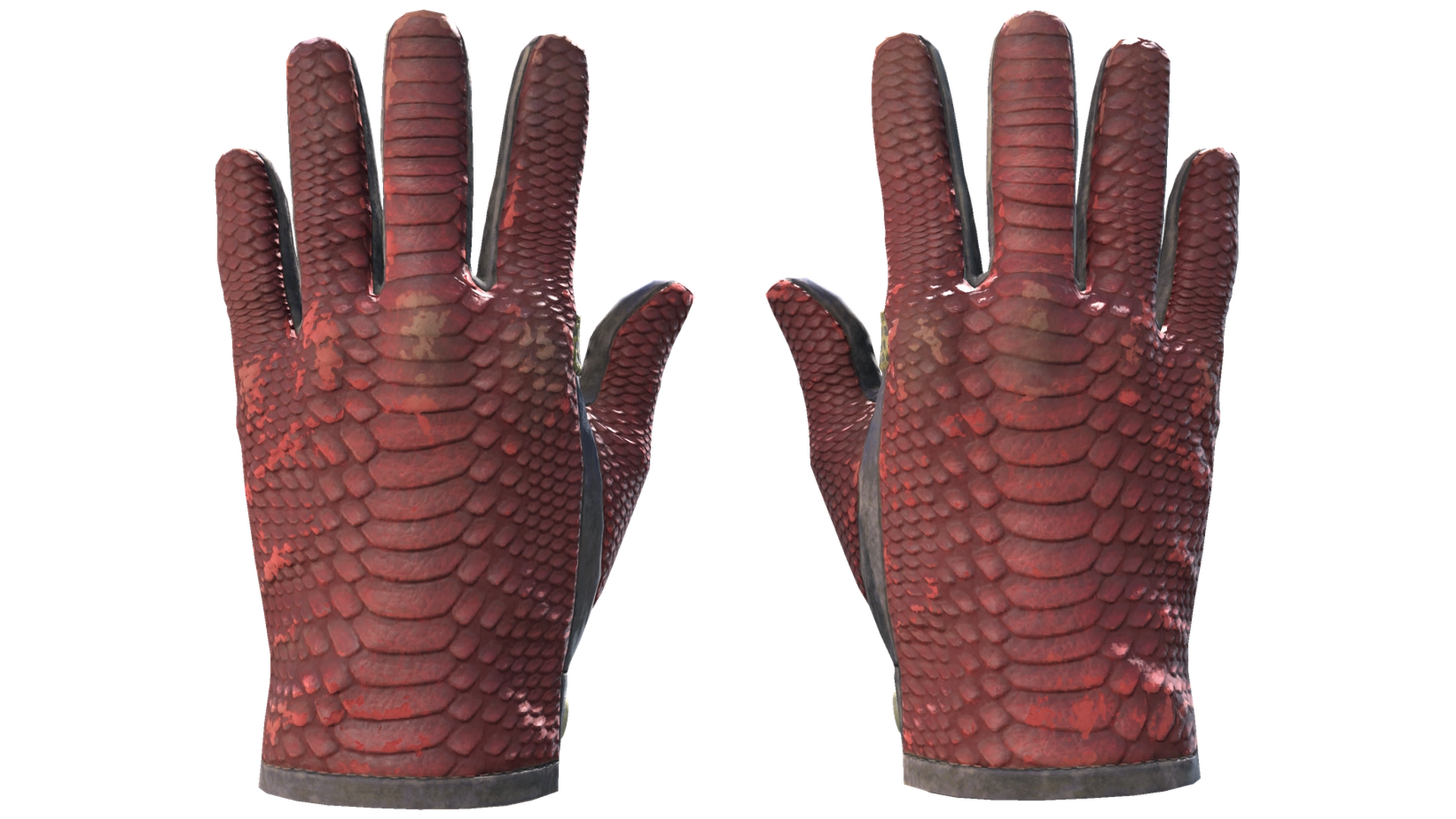 Dragon Fists image