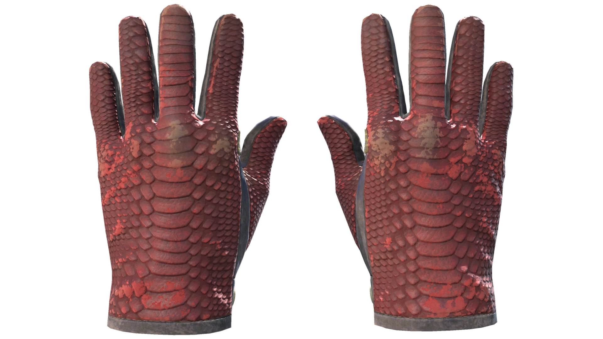 Dragon Fists image