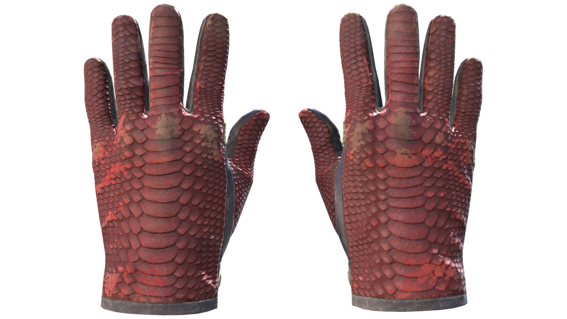 Dragon Fists image